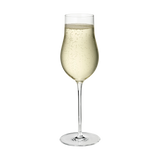 Sky Champagne Flute Glass, 6 pcs
