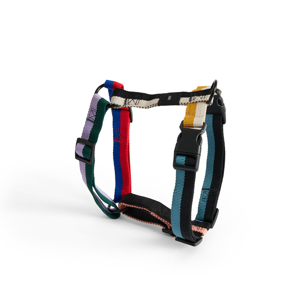 Ham HAY Dogs Mediu - Multicolor