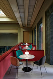 Scaun De Dining Beetle - Complet Tapițat