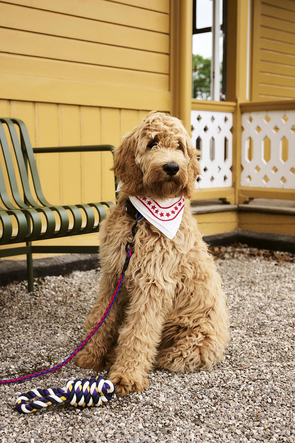 HAY Dogs Rope Toy - Blue/ Purple/ Ochre