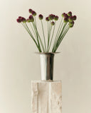 Vaza Fountain 01
