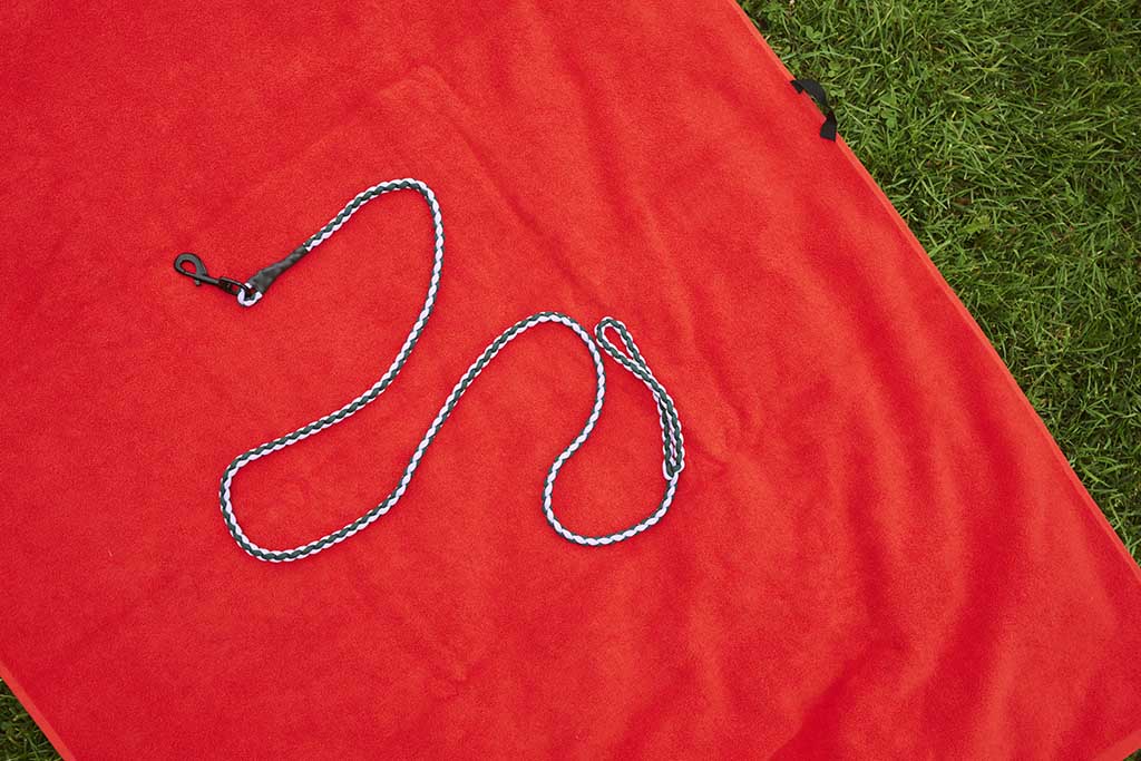 HAY Dogs Leash Braided - Lavender/ green