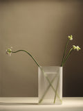 Vază Ridge - H35 - White Frosted Glass