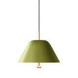 Corp de iluminat suspendat Levitate 28 - Verde / Alamă