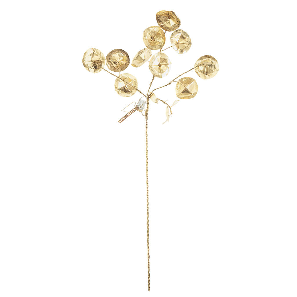 Ornament Trumpet flower