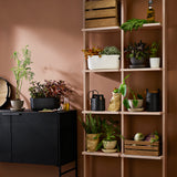 Ghiveci Self watering herb organiser - alb