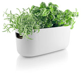 Ghiveci Self watering herb organiser - alb