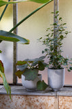 Ghiveci Collect Planter SC72 - Gri