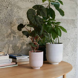 Ghiveci Collect Planter SC70 - Silver