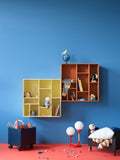 COMPILE Shelf