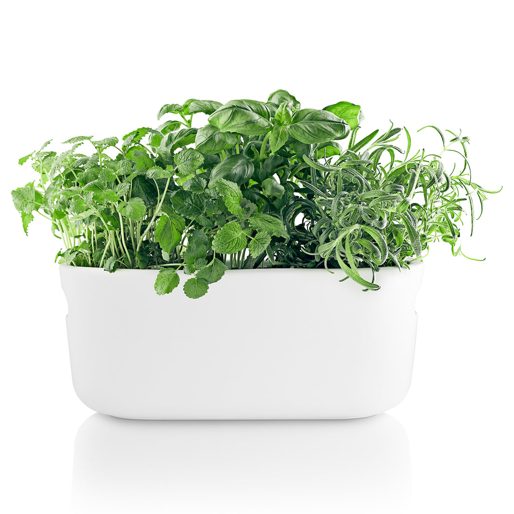 Ghiveci Self watering herb organiser - alb