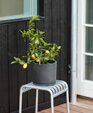 Taburet Palissade - Hot Galvanised