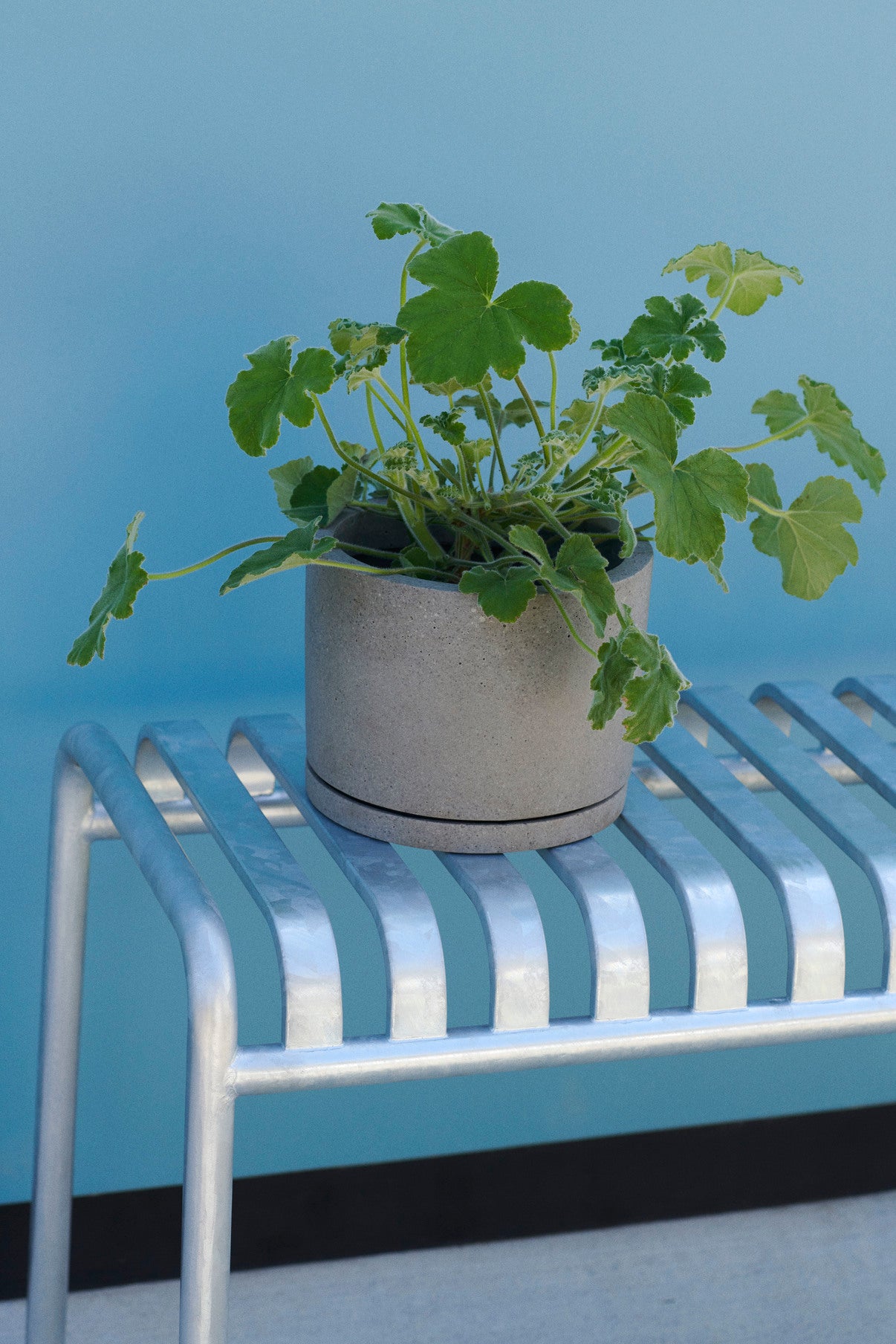 Palissade Bench - Hot Galvanised
