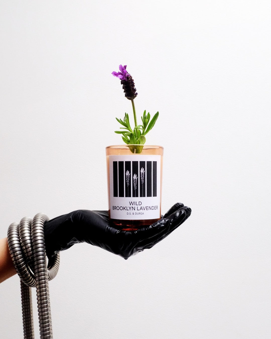 Wild Brooklyn Lavender Candle