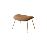 Otoman Beetle