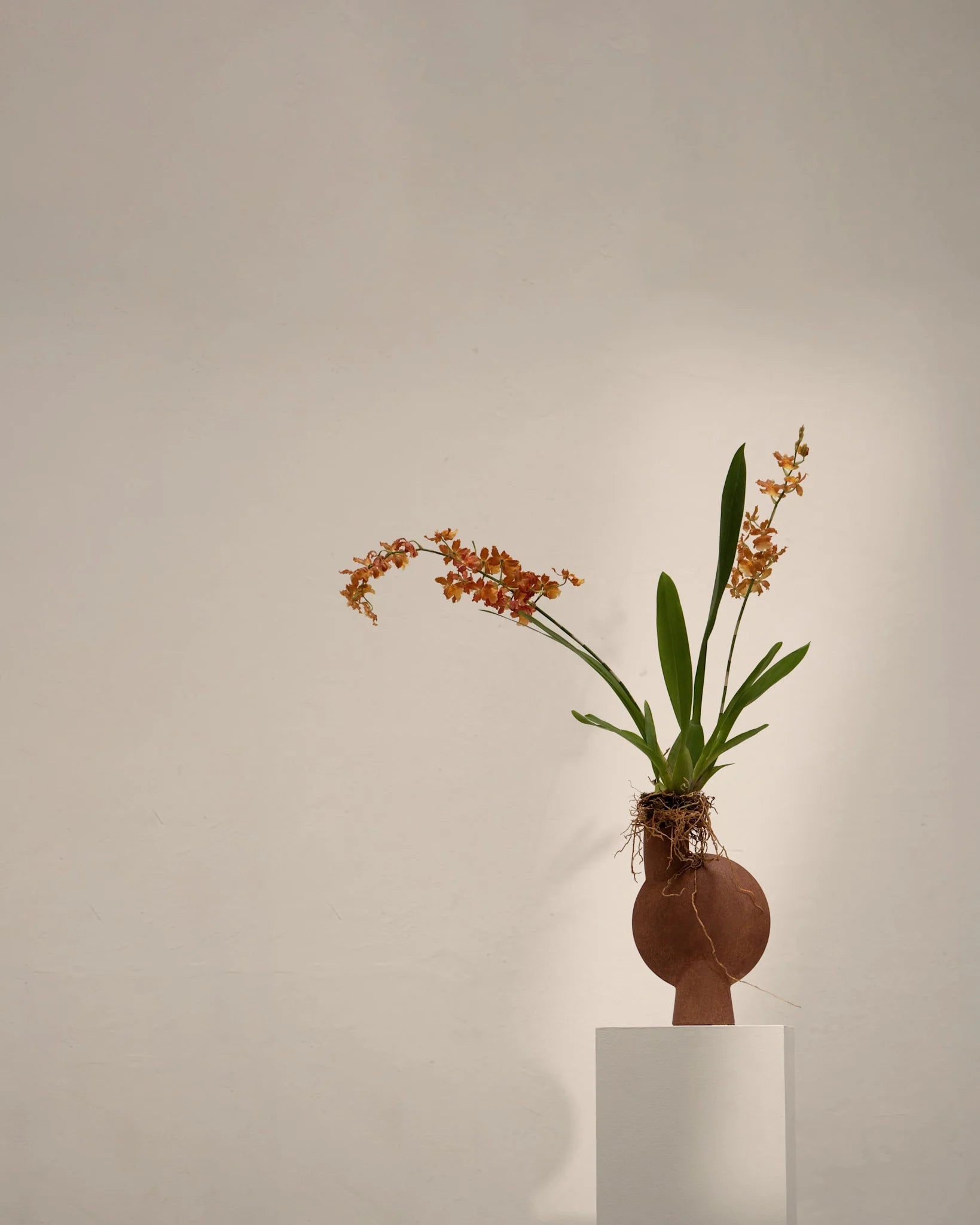 Sphere Vase Bubl, Medio - Terracotta