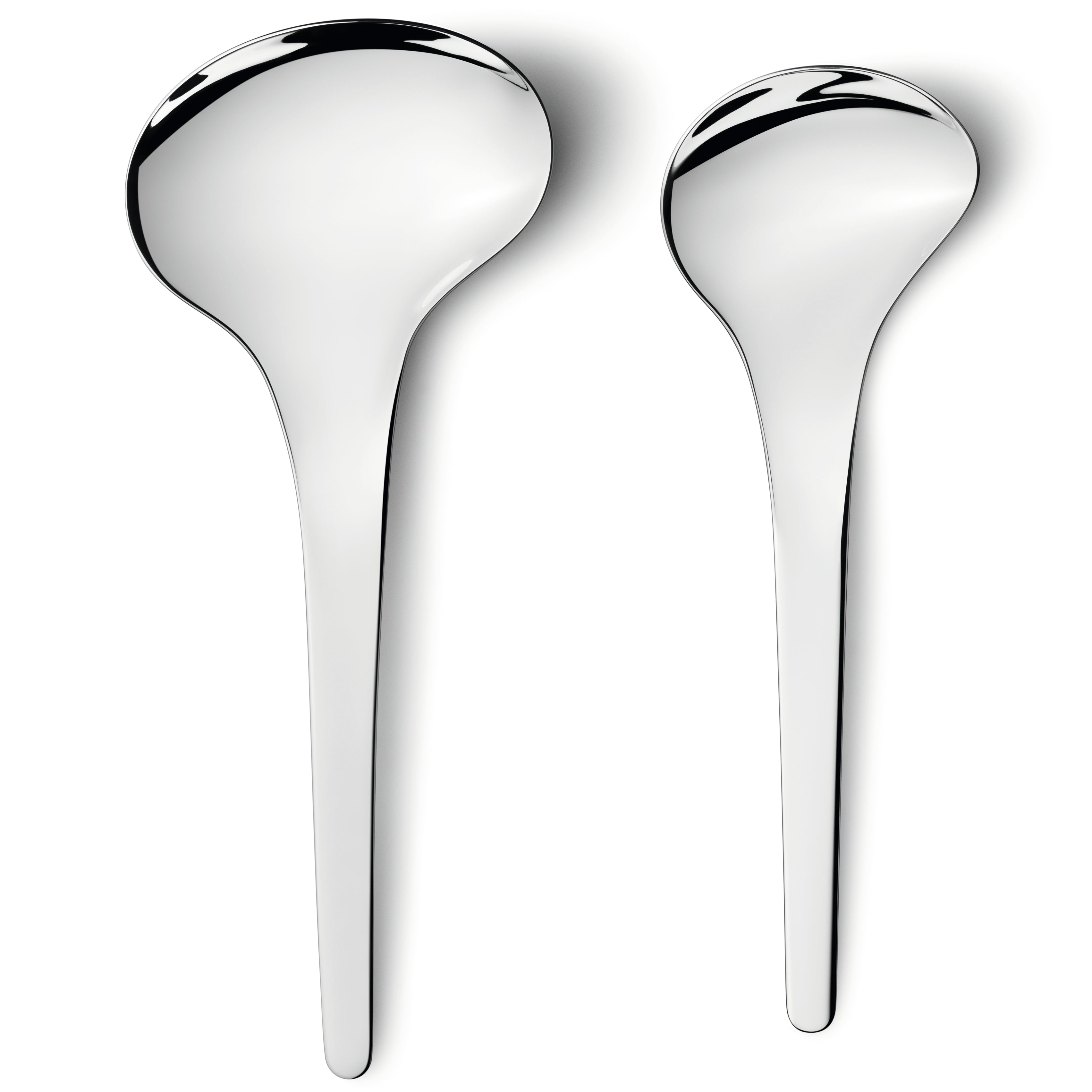 Set de Doua Linguri Pentru Servire Bloom