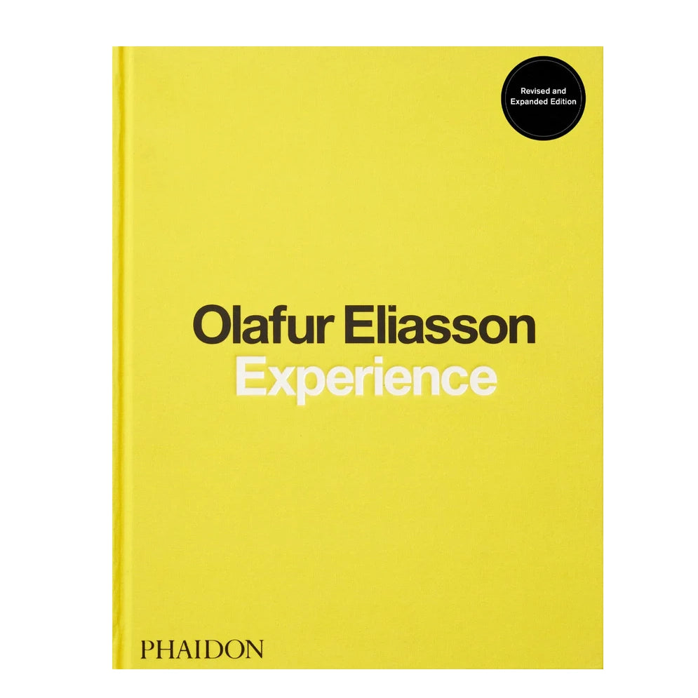 Olafur Eliasson, Experience