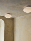 Mist AP22 Wall / Ceiling Lamp