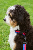 HAY Dogs Leash Flat - Red/ blue