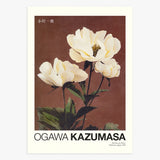 Poster Hærdaceous Peony by Ogawa Kazumasa Poster