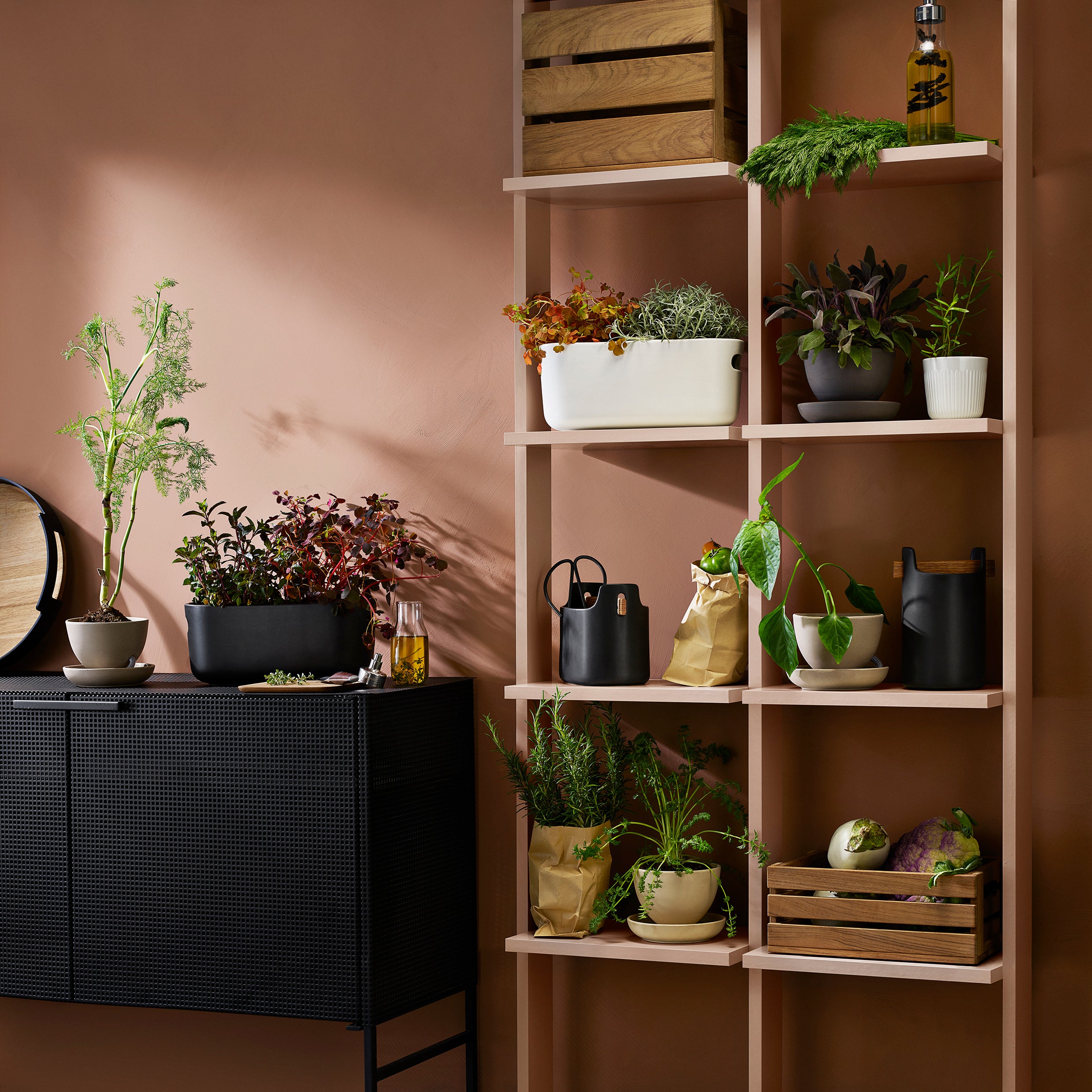 Ghiveci Self watering herb organiser - alb
