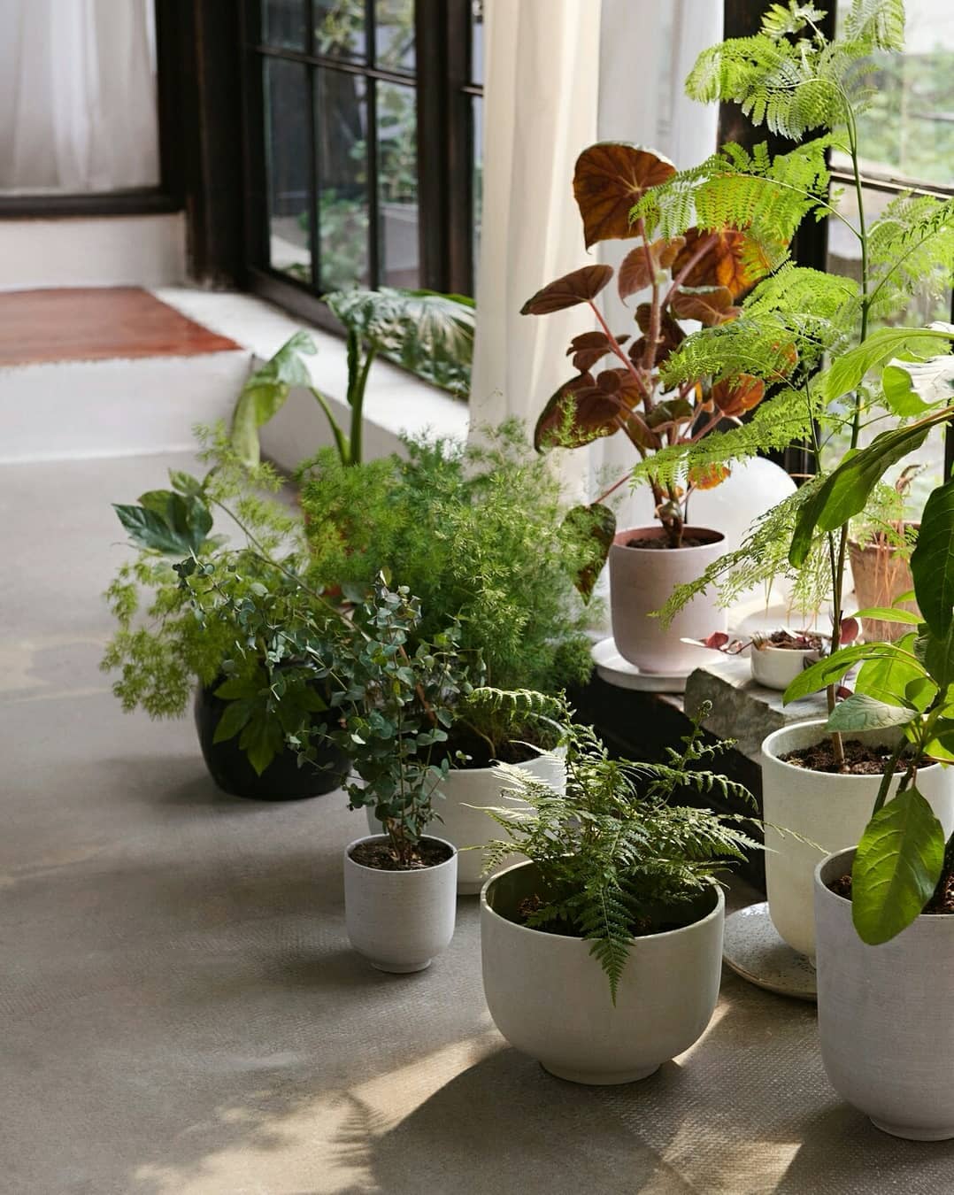 Ghiveci Collect Planter SC70 - Roz