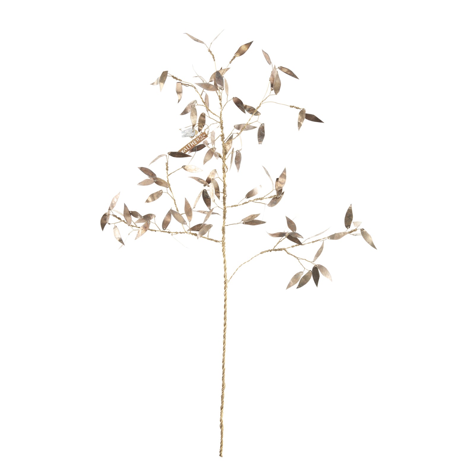 Leaf Branch