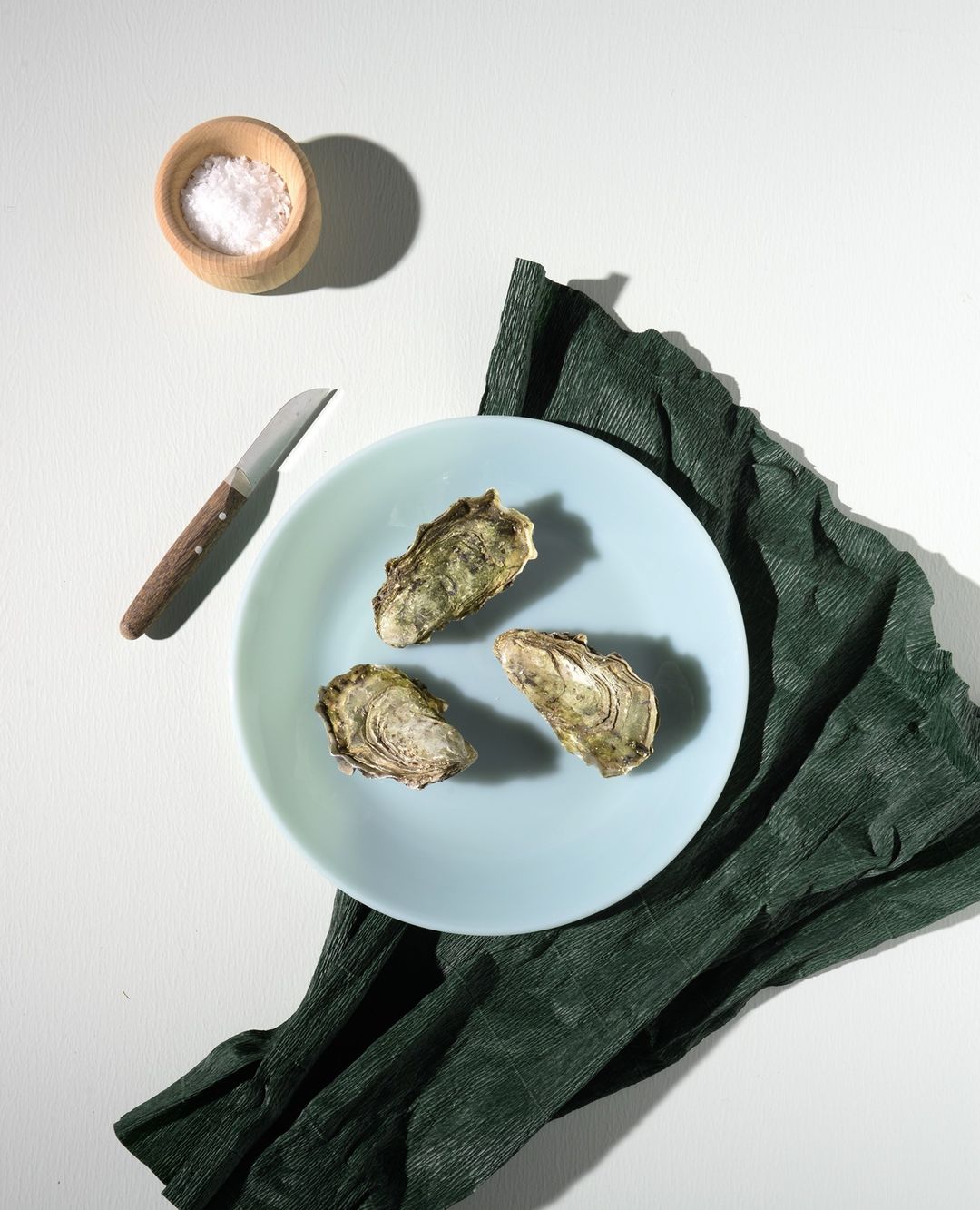MILK Plate Ø25 - Minty Haze