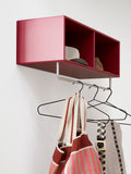 COAT Shelf with clothes rack