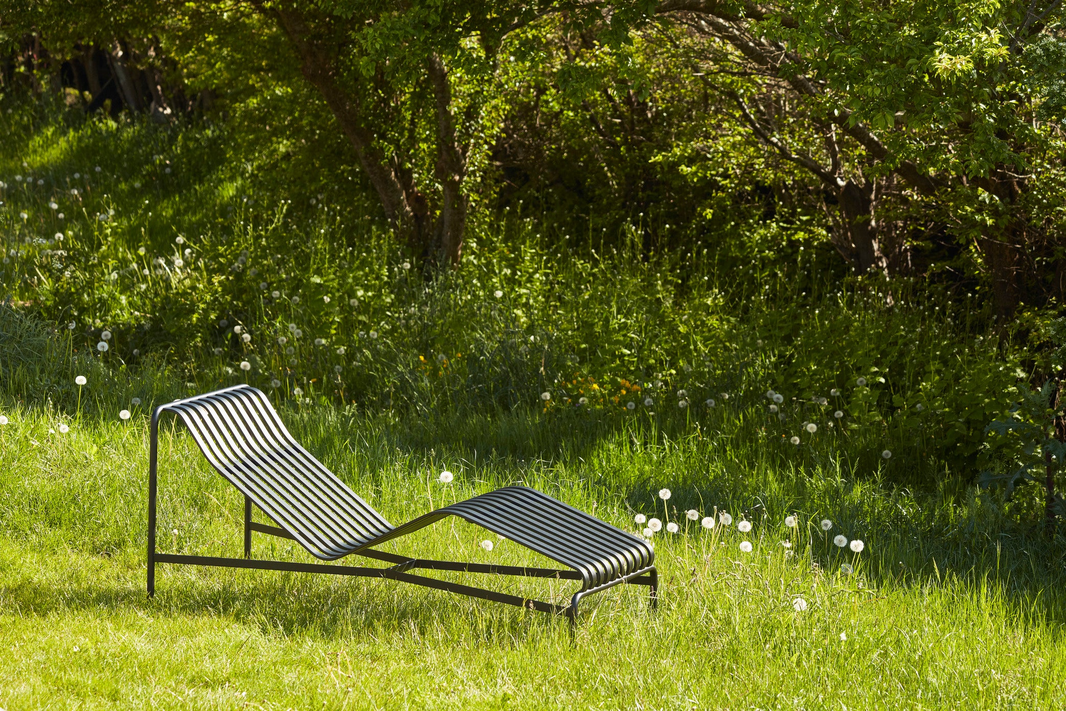 Palissade Chaise Longue - Anthracite