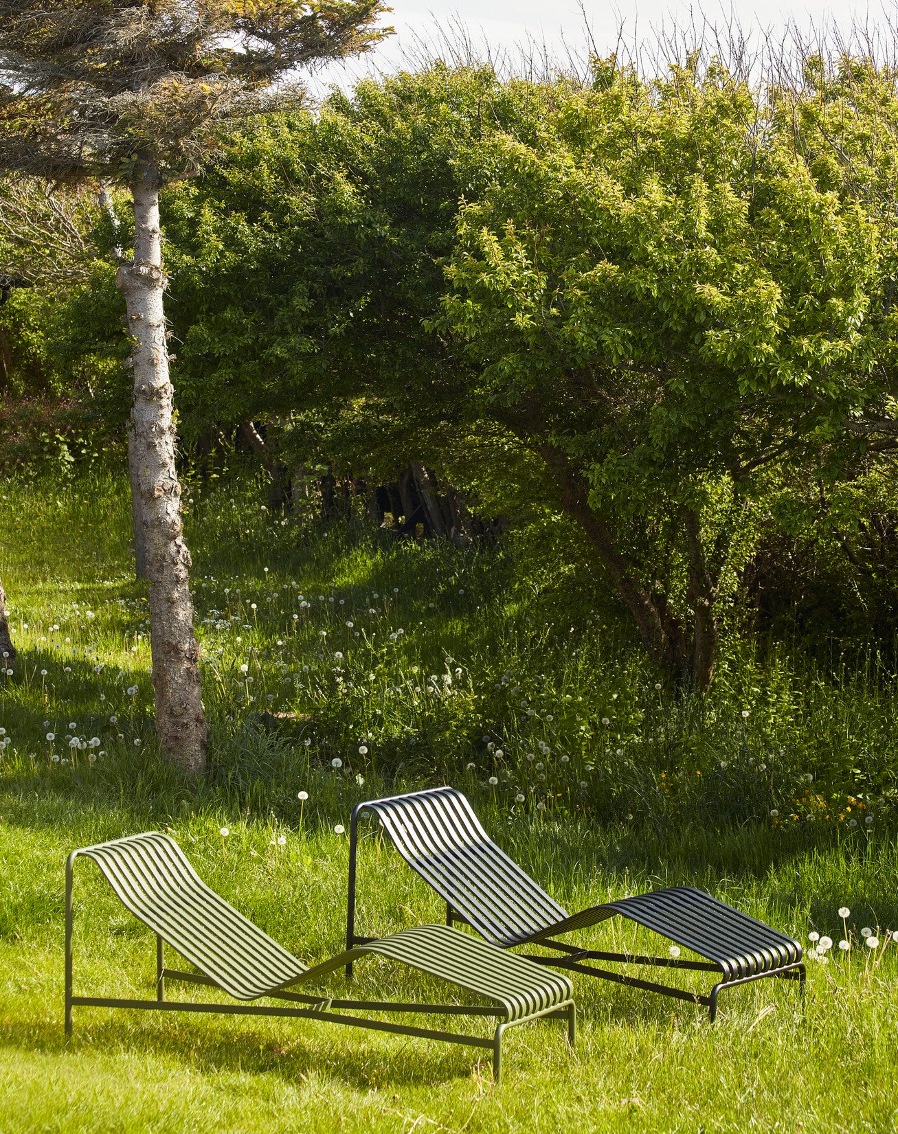 Palissade Chaise Longue - Olive